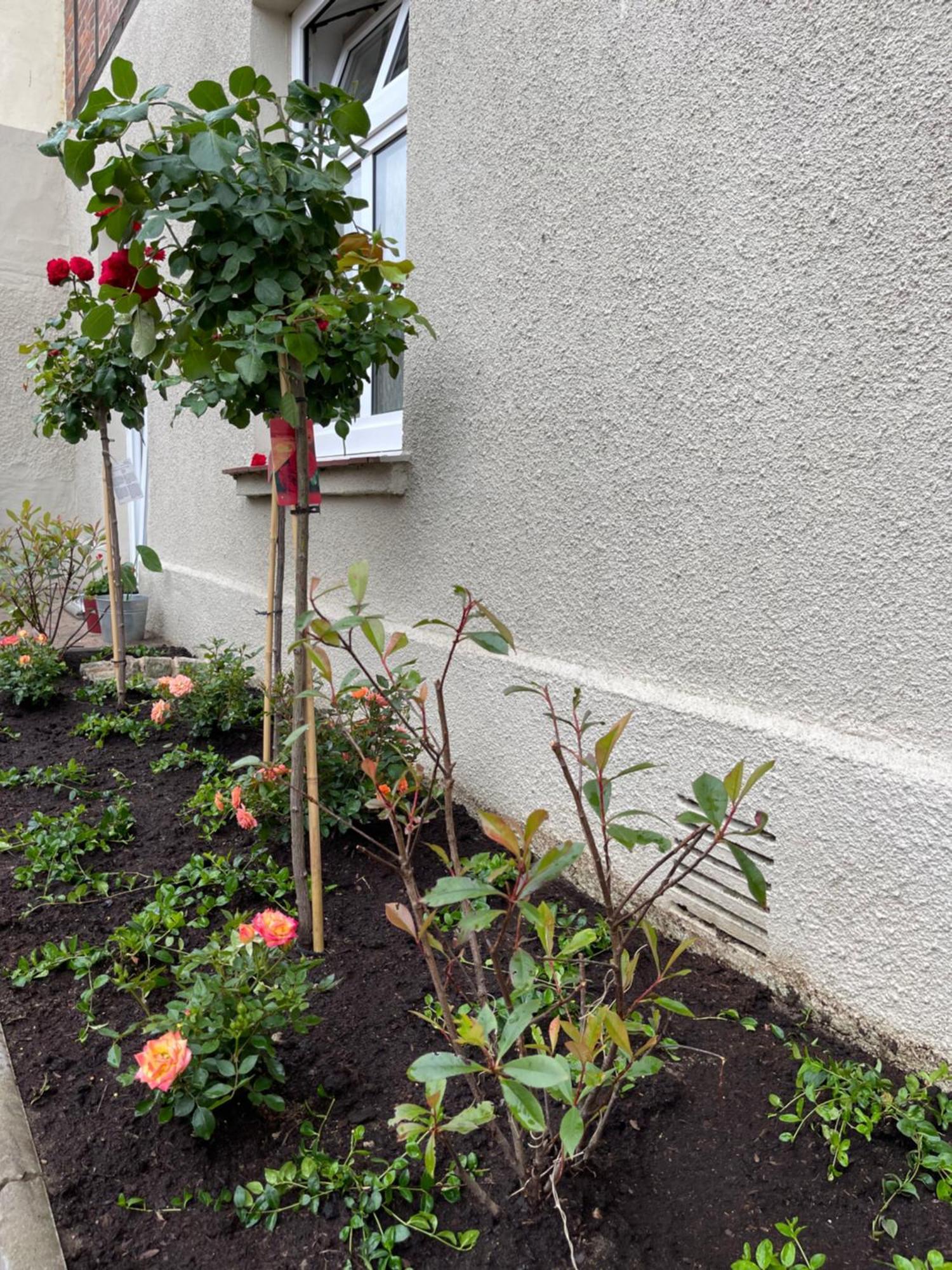 Apartamento Hofquartier Schwerin Schwerin  Exterior foto