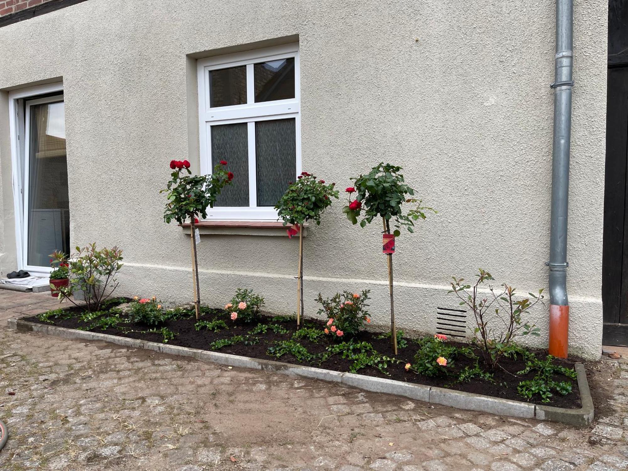 Apartamento Hofquartier Schwerin Schwerin  Exterior foto